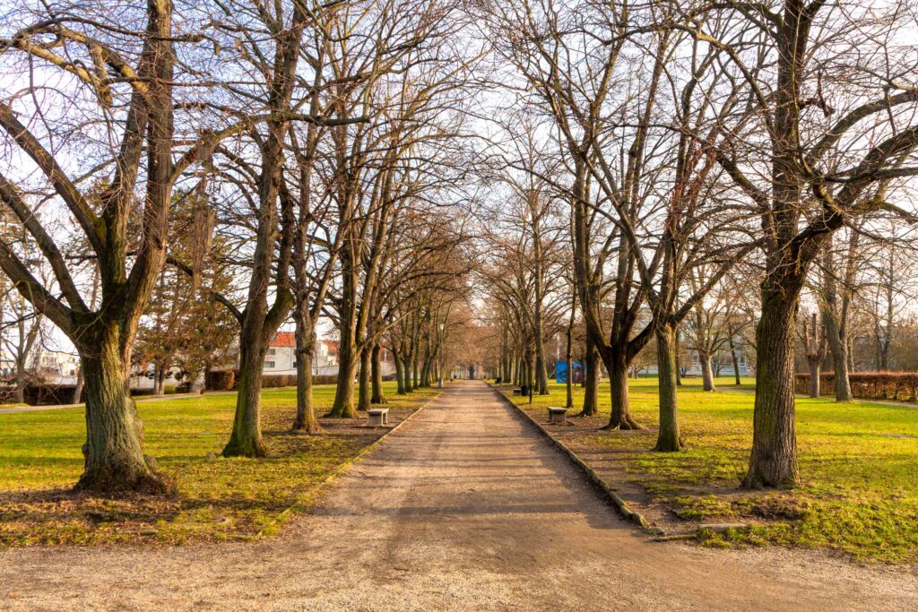 RODINNÝ DŮM S KRBEM BRANDÝS