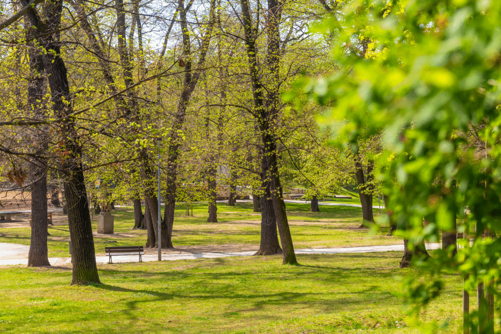PRONÁJEM 2+kk – VILAPARK KLAMOVKA