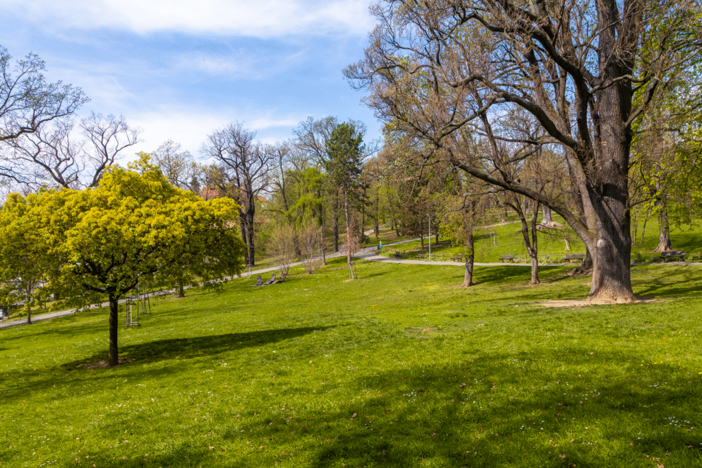 PRONÁJEM 2+kk – VILAPARK KLAMOVKA