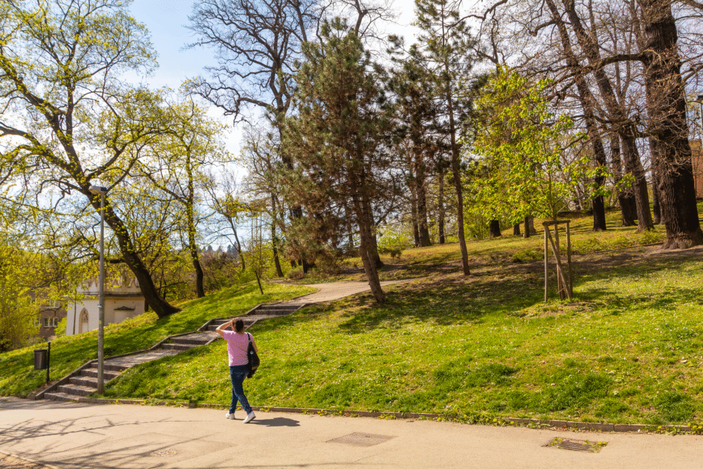 PRONÁJEM 2+kk – VILAPARK KLAMOVKA