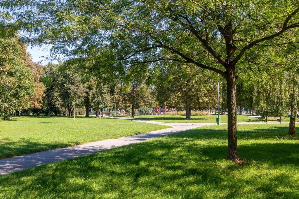 PRONÁJEM BYTU 3+kk – U SVOBODÁRNY 9