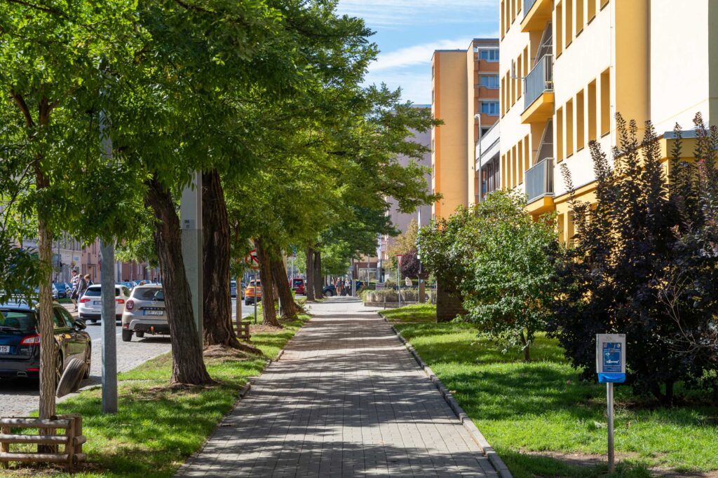 PRONÁJEM BYTU 3+kk – U SVOBODÁRNY 9