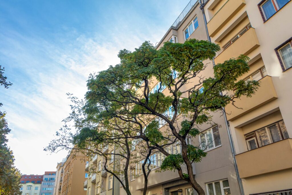 ATELIER LUCEMBURSKÁ