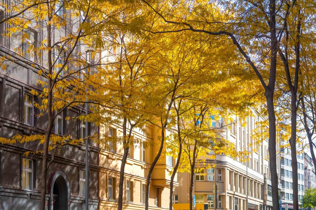 ATELIER LUCEMBURSKÁ